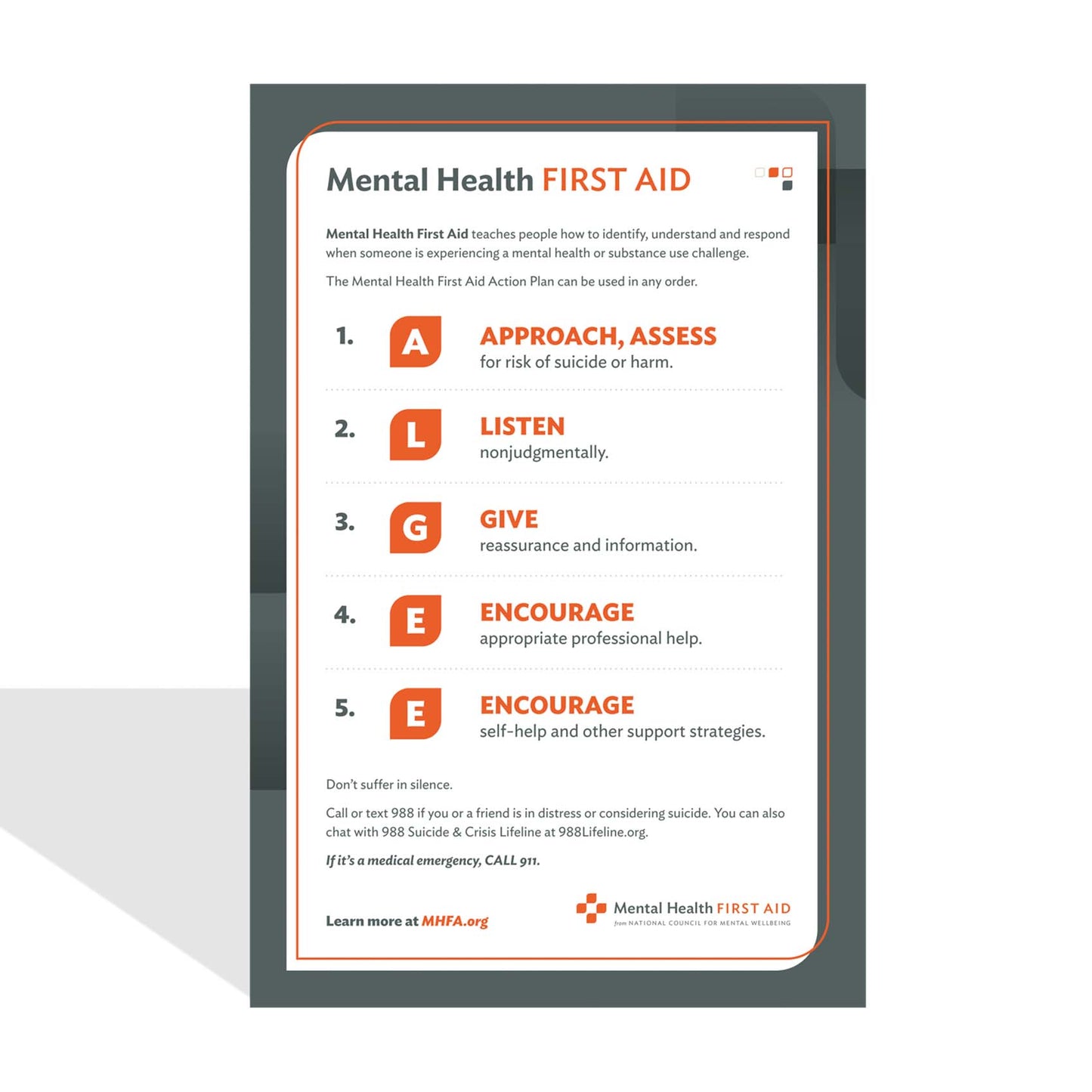 Mental Health First Aid Action Plan Poster
