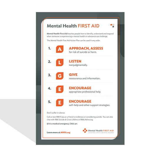 Mental Health First Aid Action Plan Poster