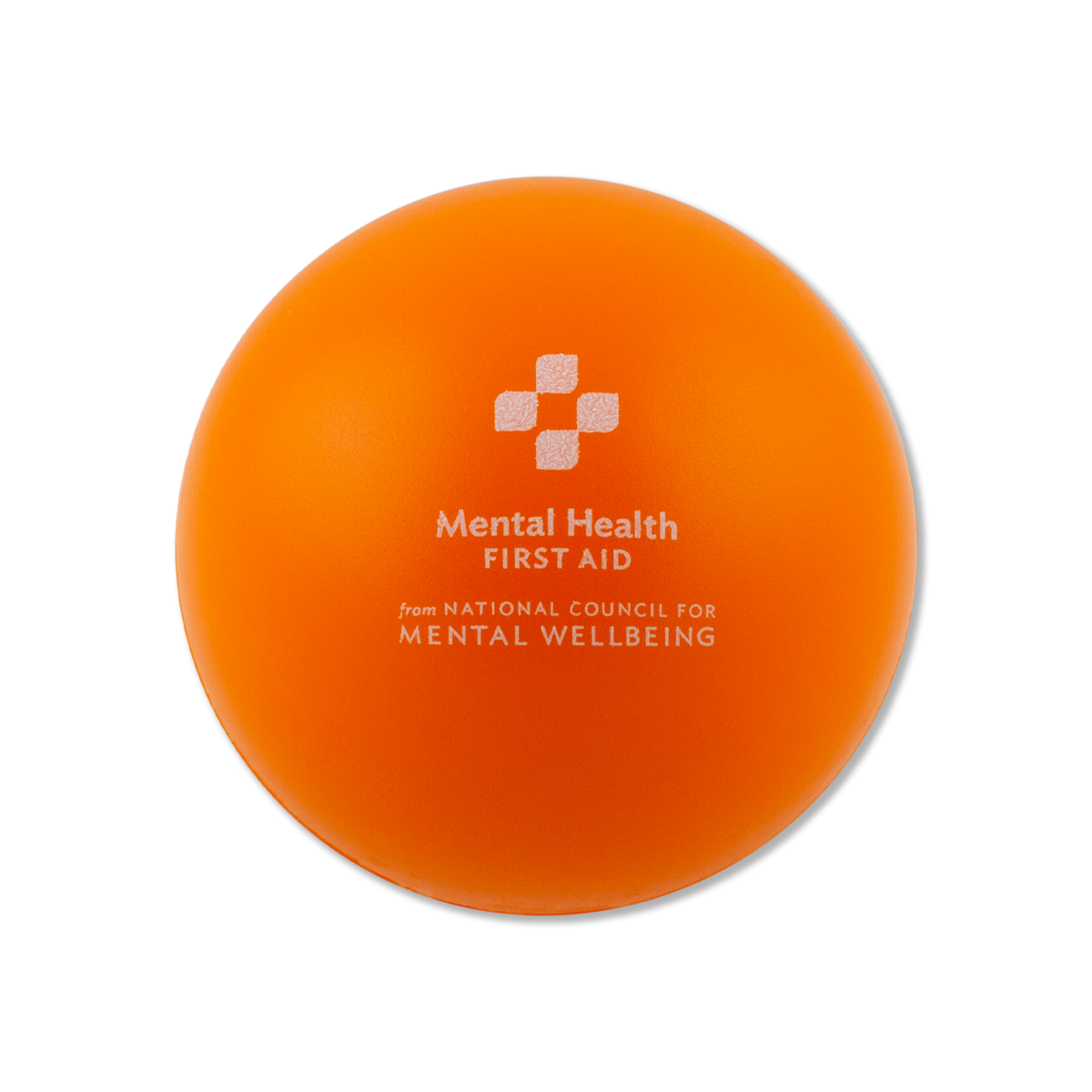 Wellness Travel Kit